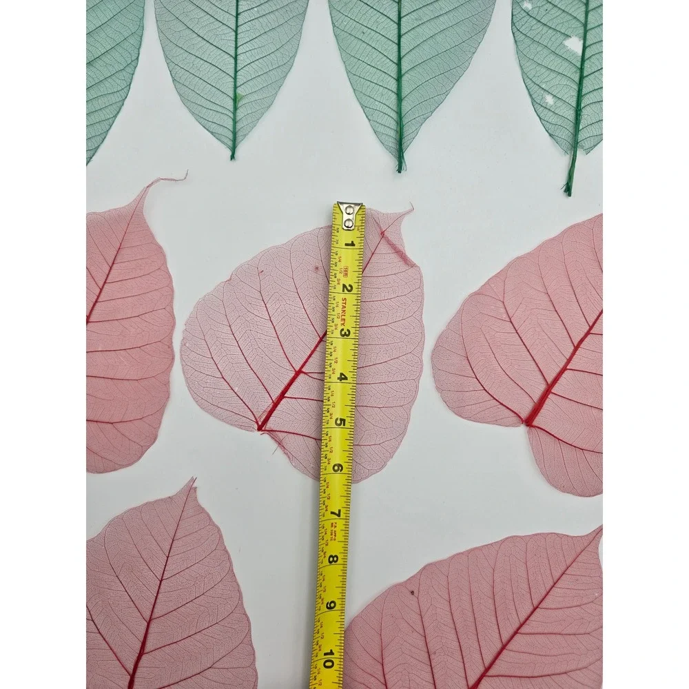 Skeleton Leaves Green Pink Botanical Decor‎ Crafting Floral Arrangements